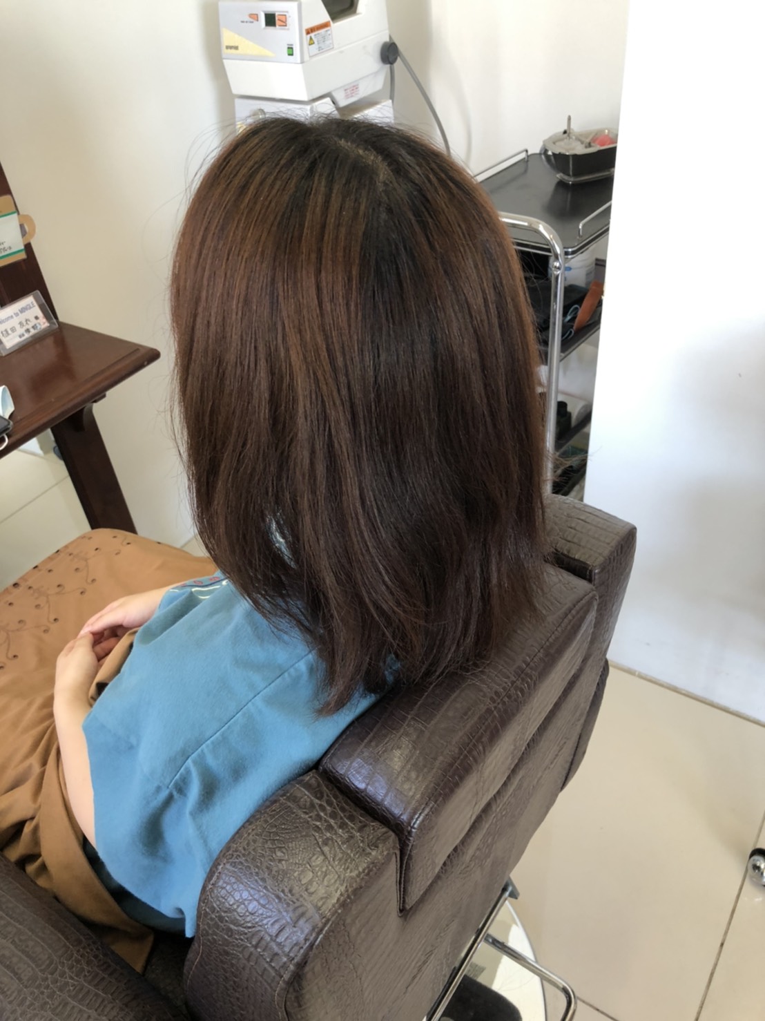 カットモデル カットモデル