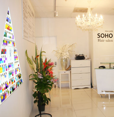SOHO new york Hawaii